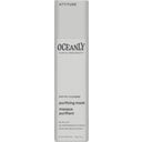 eccoverde ATTITUDE Oceanly PHYTO-CLEANSE Purifying Mask 30 g