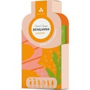 eccoverde BEN & ANNA Shampooflakes Aloe Vera Sanddorn (40 g)