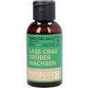eccoverde benecos benecosBIO 2in1 Duschgel "Lass Gras drüber wachsen" 50 ml