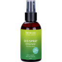 eccoverde benecos Natural Basics Deo Spray Erfrischend 75 ml