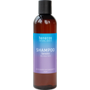 eccoverde benecos Natural Basics Shampoo Sensitiv 250 ml
