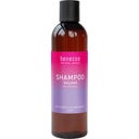 eccoverde benecos Natural Basics Shampoo Volumen 250 ml