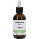 eccoverde BIOEARTH ELEMENTA BODY DETOX Blasentang + Ananas 6% 50 ml