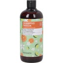 eccoverde BIOEARTH Family 2in1 Shampoo & Duschgel Orangenblüte & Bergamotte 500 ml