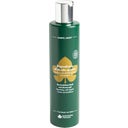 eccoverde Biofficina Toscana Duschbad Sanddorn 250 ml