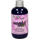 eccoverde Biopark Cosmetics Organic Clary Sage Hydrosol 100 ml