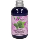 eccoverde Biopark Cosmetics Organic Peppermint Hydrosol 100 ml