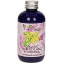 eccoverde Biopark Cosmetics Organic Ylang Ylang Hydrosol 100 ml