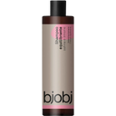 eccoverde bjobj Ausgleichendes Shampoo Salbei & Zitrone 250 ml