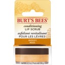 eccoverde Burt's Bees Conditioning Lip Scrub 7 08 g