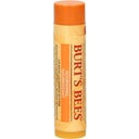 eccoverde Burt's Bees Nourishing Lip Balm with Mango Butter 4.25 g