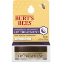 eccoverde Burt's Bees Overnight Intensive Lip Treatment 7 08 g