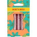 eccoverde Burt's Bees "Petal Kisses" Lip Shimmer Trio Set