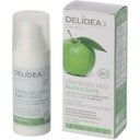 eccoverde DELIDEA Apple & Bamboo Purifying Gel Face Cream 50 ml