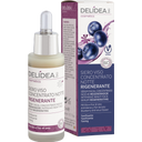 eccoverde DELIDEA Blueberry & Lotus Flower Intensive Night Face Serum 30 ml