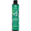 eccoverde Domus Olea Toscana HydraStyle Volumen Shampoo 200 ml