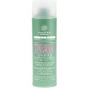 eccoverde Domus Olea Toscana UNDICI Restrukturierendes Mizellen-Creme-Shampoo 200 ml