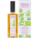 eccoverde Douces Angevines Fantomette Make-up Entferner 100 ml