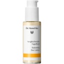 eccoverde Dr. Hauschka Ausgleichendes Tagesfluid 50 ml