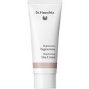eccoverde Dr. Hauschka Regeneration Tagescreme 40 ml