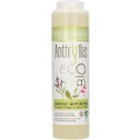eccoverde Anthyllis Anti-Schuppen-Shampoo 250 ml