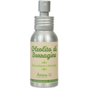 eccoverde Antos Borretsch Ölauszug 50 ml