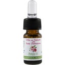 eccoverde Antos Nagelhaut Öl Damaszener Rose 5 ml