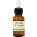 eccoverde Antos Propolis Ölauszug 20 ml