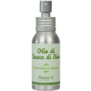 eccoverde Antos Reiskleieöl 50 ml