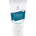 eccoverde Bioturm Aufbaukur Lotuseffekt 150 ml