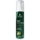 eccoverde Bioturm Leave-in Spülung Repair 150 ml