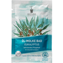 eccoverde Bioturm Öl-Molke Bad Eukalyptus 30 ml