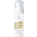 eccoverde Bioturm Reinigungsschaum 150 ml