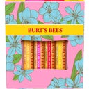 eccoverde Burt's Bees "In Full Bloom" Lip Balm Set