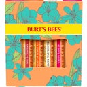 eccoverde Burt's Bees "Just Picked" Lip Balm Set