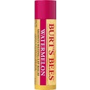 eccoverde Burt's Bees Watermelon Lip Balm 4 25 g