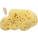 eccoverde Cose della Natura Velvet Sponge