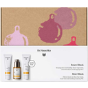 eccoverde Dr. Hauschka Geschenkset Rosen