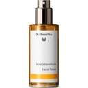 eccoverde Dr. Hauschka Gesichtstonikum 100 ml