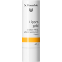 eccoverde Dr. Hauschka Lippengold 4 90 g