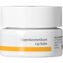 eccoverde Dr. Hauschka Lippenkosmetikum 4 50 ml
