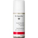 eccoverde Dr. Hauschka Rosen Deomilch 50 ml