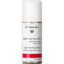eccoverde Dr. Hauschka Salbei Minze Deomilch 50 ml
