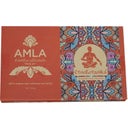 eccoverde EtnoBotanika Organic Amla 100 g