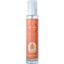 eccoverde EtnoBotanika Organic Amla Oil 100 ml