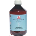 eccoverde EtnoBotanika Peppermint Hydrosol 500 ml