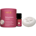 eccoverde farfalla Weihnachtsstern Geschenkset