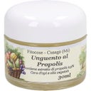 eccoverde Fitocose Propolis Ointment 30 ml