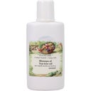 eccoverde Fitocose Tea Tree Oil Shampoo 200 ml