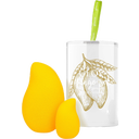eccoverde GLOV Mango Set
